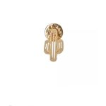 Pin Cactus Golden