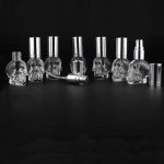 Spray for Cocktail Martini Mister Skull Silvery