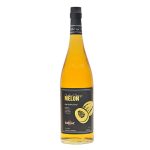 Syrup BARLINE Yellow Melon 1L