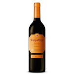 Գինի Իսպանական Campo Viejo Reserva, Tempranillo, Granciano and Mazuelo, 2014 D.O.C, Կարմիր Չոր, Rioja, Spain, 13.5% 0.75լ