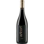 Wine Arkuri by Noa, Red Dry, Areni 2022, Rind and Aghavnadzor Villages, Vayots Dzor Region, Armenia, 15% 0.75L