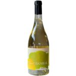 Գինի Bambak Սպիտակ Չոր, Մուսկատ 2022, Արմավիրի Մարզ, Հայաստան, 12% 0.75լ