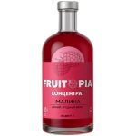 Օշարակ FRUITOPIA Ազնվամորի 1լ