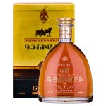 Armenian Brandy Gyumri 7 Years Old, Armavir Region, Armenia, GB, 40% 0.5L